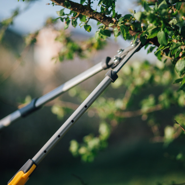 prunning scissers tools shelbyville ky